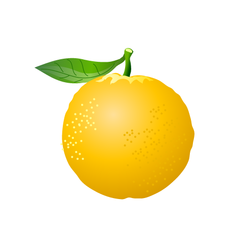 自己紹介 翻訳がーる